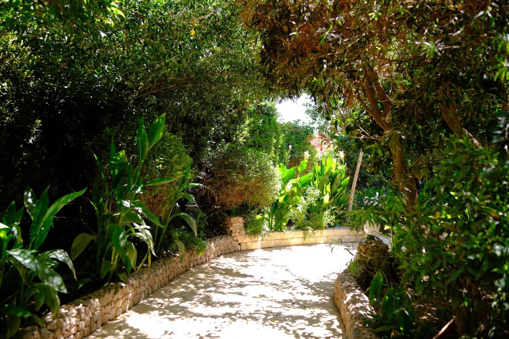 שארם א-שייח Viking Club Hotel מראה חיצוני תמונה